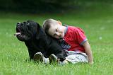 ENFANT ET CHIEN 487